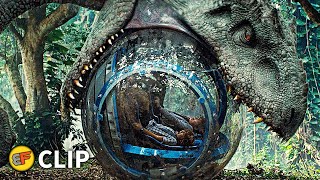 Indominus Rex Attacks the Gyrosphere Scene  Jurassic World 2015 Movie Clip HD 4K [upl. by Miko]