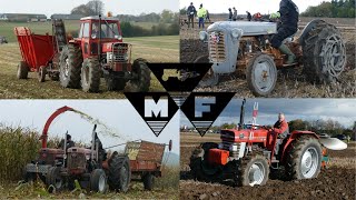 MASSEY FERGUSON 2024 Compilation  Massey Ferguson 35 65 135 148 168 178 675 2680 [upl. by Belen]