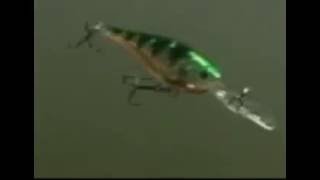 Rapala® Glass Shad Rap® Swimming Action [upl. by Nicholas]