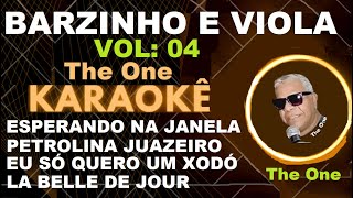 BARZINHO E VIOLA VOL  04 ESPERANDO NA JANELA  JUAZEIRO PETROLINA  EU SÃ“ QUERO UM XODÃ“  KARAOKÃŠ [upl. by Galloway172]