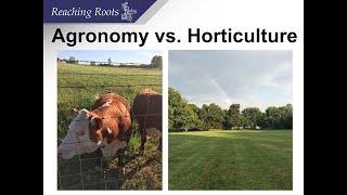 Whats the difference between Horticulture and Agronomy [upl. by Gwendolen685]