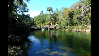 Debes conocer el Edén en Rocío del Sol [upl. by Xxam]