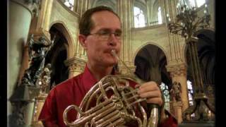 Mozart Horn Concerto No 3 1st Mvnt Steve ParkHorn [upl. by Ybrek641]