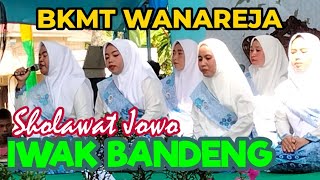 IWAK BANDENG  SHOLAWAT JOWO BKMT WANAREJA [upl. by Kathe]