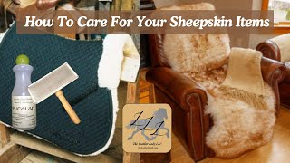 Expert tips for preserving amp cleaning sheepskin and saddle pads [upl. by Aneej]