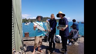 NZ Fishing 5 Kingies of Mangonui Wharf Northland 2019 [upl. by Livy]