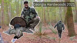 How to Hunt Hardwoods Turkeys—South Georgia  Public Land 2021 [upl. by Llewol]