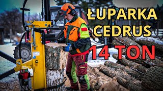 ŁUPARKA DO DREWNA CEDRUS 14 TON  Pierwsze wrażenia [upl. by Naelcm70]