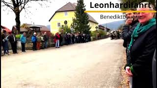 05112024 \Leonhardifahrt \Benediktbeuern \Bayern \Reisen Deutschland DE shortvideo horse [upl. by Naujtna]