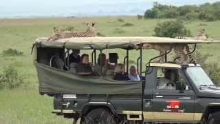 Cheetah jumps into a Safari Vehicle  Masai Mara  Kenya [upl. by Derian516]