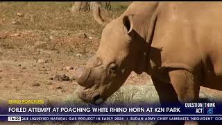 Poaching suspect nabbed after killing a white rhino in a KZN game park [upl. by Seroka]