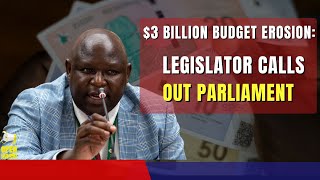 3 Billion Budget Erosion Legislator Calls Out Parliament [upl. by Eldwon]