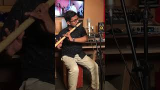 Piyath Rajapakse  Seedevi සීදේවී Music Video Flute Cover [upl. by Nagek222]