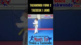 Taekwondo form 1 Taegeuk I Jang [upl. by Odareg459]