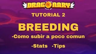 DRAGONARY Tutorial 2 BREEDING STAT y TIPS [upl. by Meta11]