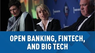 New Rules Open Banking FinTech and Big Tech [upl. by Suirradal]