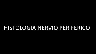 Histologia de Nervio Periferico [upl. by Yeliah]