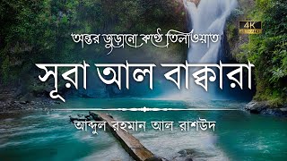 সূরা আল বাকারা এর অত্যন্ত দরদী কন্ঠে তিলাওয়াত┇Surah Al Baqarah Recited by Abdul Rahman Al Rashoud [upl. by Olra308]