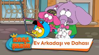 Ev Arkadaşı ve Dahası 🏠  Kral Şakir [upl. by Ydniw]