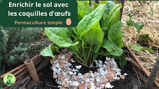 ♻️ Coquilles dœufs et offrez un boost à votre permaculture DIY  🥚🥚🥚 [upl. by Langill398]