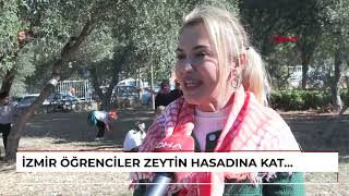 İZMİR Öğrenciler zeytin hasadına katıldı [upl. by Janel]