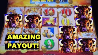 Buffalo Gold The Slot Game with the Highest Payouts [upl. by Pritchett492]