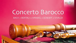 Concerto Barocco [upl. by Eillas]