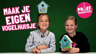 Maak je eigen Houten Vogelhuisje met de Proefmonsters [upl. by Stanton]