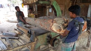 How To Cut Dead Wood Branch Cutting Dead Wood Dangerous [upl. by Eillo]