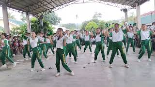 Cheerdance School Competition dance cheerdance [upl. by Lathrope935]