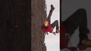 mountains nature climbing girl struggle adventure clips world level worldcup record 2024 [upl. by Berenice]