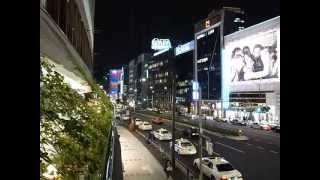 2013 赤坂光  赤坂東急ホテル Akasaka Lights  Akasaka Tokyu Hotel 130425g [upl. by Ahsiemal334]