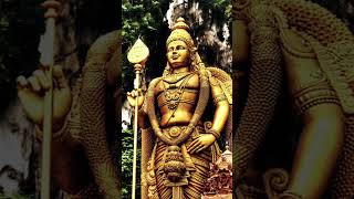 முருகன் god tamilshorts janakil65 [upl. by Nennahs]