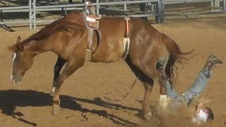 Ranch Broncs  2018 Will Rogers Range Riders Rodeo  Thursday [upl. by Aymahs]