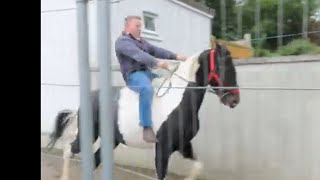 Horse Speed Lane at Ballinasloe Horse Fair [upl. by Natsyrt]