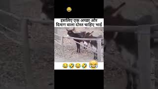 सच्ची लगे तो भर भर के Comment करें thepillar lives rajveersolanki viralvideo viralshorts [upl. by Ecnerat216]