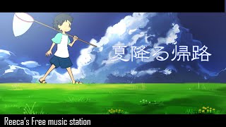 【フリーBGM】夏降る帰路【爽やか、穏やか、夏】  リイカ [upl. by Nimsaj]