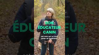 C’est quoi un bon éducateur canin  ✅ 🐕 FORMATION ACACED educationcanine chien chiens [upl. by Ydoow]