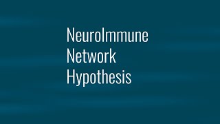 The NeuroImmune Network Hypothesis [upl. by Manvil872]