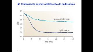 Aula 3  Tuberculose na Gravidez [upl. by Atinrehs788]