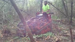 Brush Clearing Removal Land Clearing Pensacola R amp R Services [upl. by Darda176]