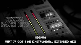 Signum  What Ya Got 4 Me Instrumental Extended Mix HQ [upl. by Resay]