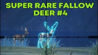 Super Rare Fallow Deer 4 Call of the Wild theHunter [upl. by Pacheco420]