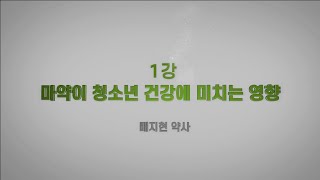 청소년 마약예방교육1강마약이 청소년 건강에 미치는 영향 [upl. by Gnuh]