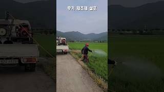 Late herbicide spraying 후기 제초제 살포하기 [upl. by Manley704]