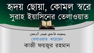 হৃদয় ছোয়া কোমল স্বরে সুরাহ ইয়াসিনের তেলাওয়াত  সুরা ইয়াসিন বাংলা অনুবাদ সহ [upl. by Aram]