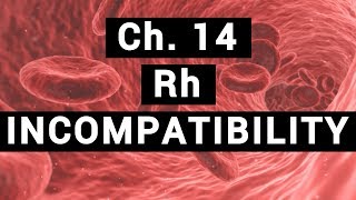 Ch14 Rh INCOMPATIBILITY  BLOOD PHYSIOLOGY [upl. by Cooke]