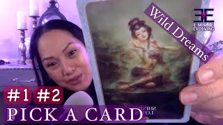 Pick a Card ✨Mini Reading  Wild Dreams [upl. by Ettenirt360]