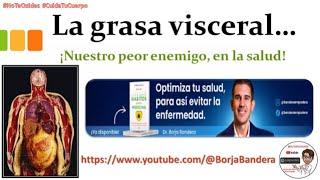 Información que el Docente de Educación Física debe saber y promover Catedra del Dr Borja Bandera [upl. by Brey131]