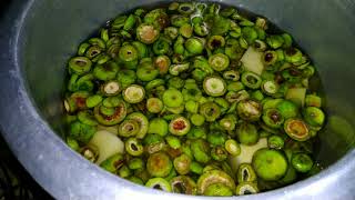 Boromaa cooking for us traditional village food cluster fig cluster figDumurDumor full recipe [upl. by Walcott140]